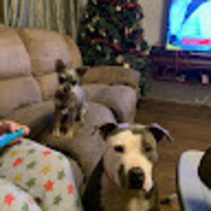 Meet your Posher, Angela